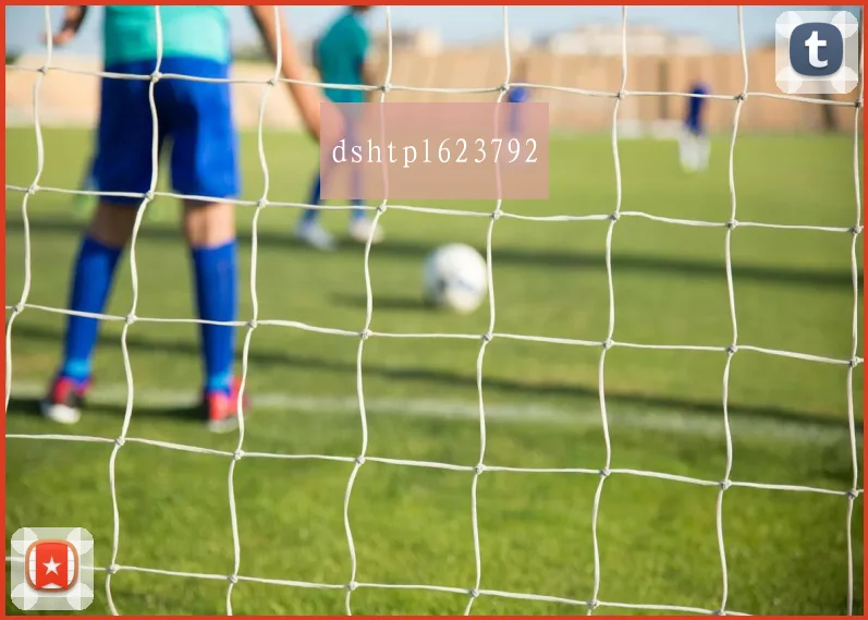 dshtpl623792